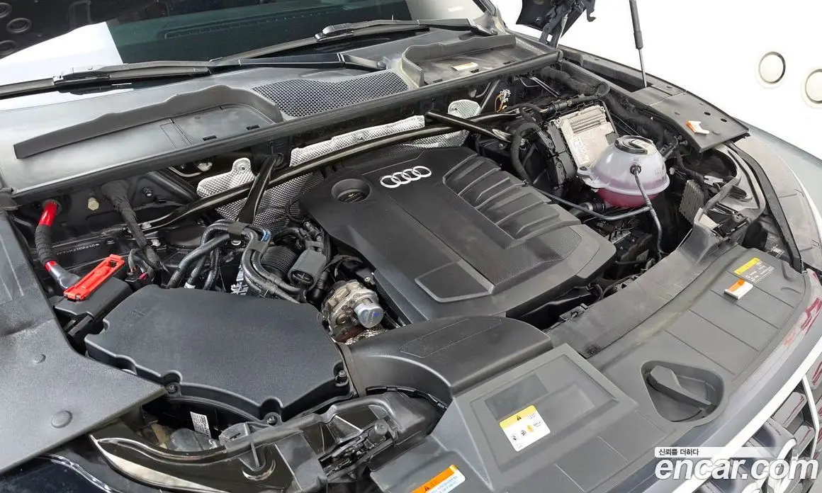 Audi Q5 2021 2.0 автомат (гидро), фото 6 Audi Q5 2021 2.0 автомат (гидро), фото 6