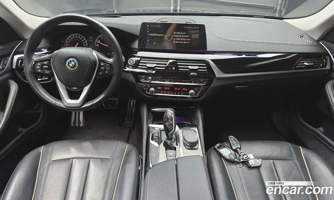 BMW 5 серия 2018 2.0 автомат (гидро), фото 10