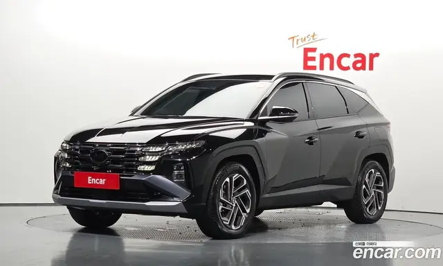 Hyundai Tucson, 2024, 1 530 км