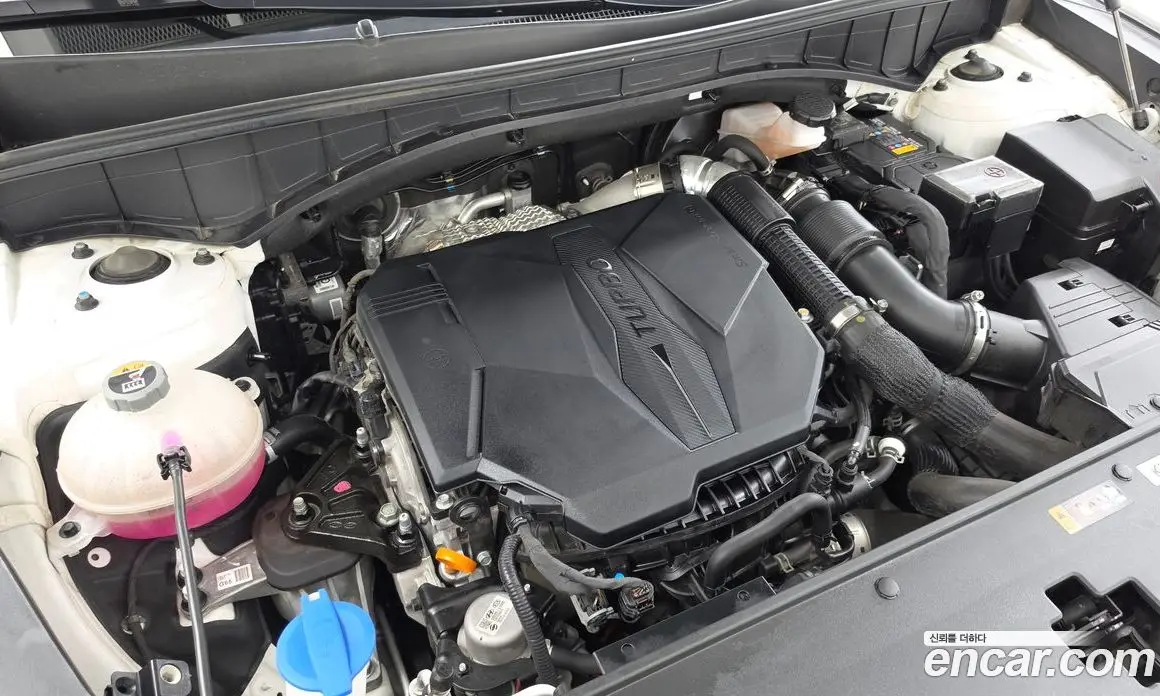 Kia Sorento 2024 2.5 автомат (гидро), фото 5