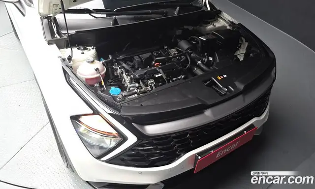 Kia Sportage 2023 1.6 автомат (гидро), миниатюра 5 Kia Sportage 2023 1.6 автомат (гидро), миниатюра 5