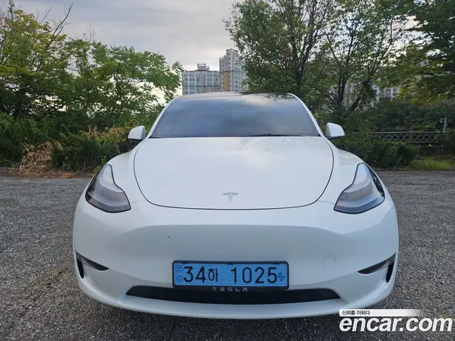 Tesla Model Y 2023 0.2 автомат (гидро), миниатюра 3
