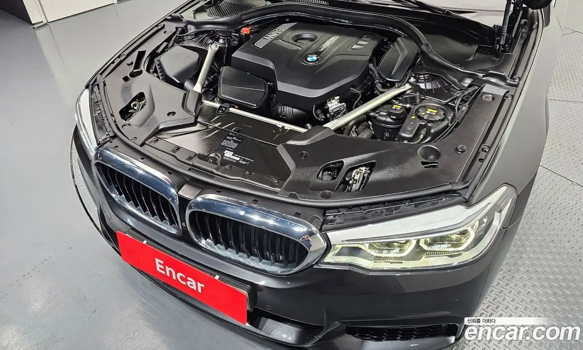 BMW 5 серия 2018 2.0 автомат (гидро), фото 6 BMW 5 серия 2018 2.0 автомат (гидро), фото 6