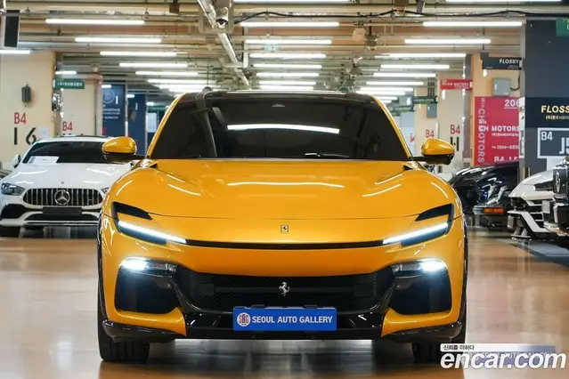 Ferrari Purosangue, 2025, 1 700 км
