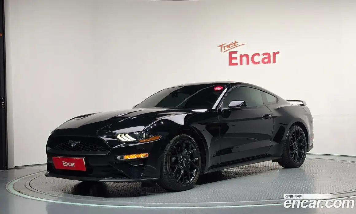 Ford Mustang 2019 2.3 автомат (гидро), фото 1 Ford Mustang 2019 2.3 автомат (гидро), фото 1
