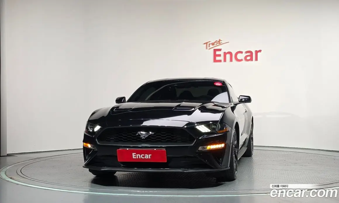 Ford Mustang 2019 2.3 автомат (гидро), фото 3 Ford Mustang 2019 2.3 автомат (гидро), фото 3