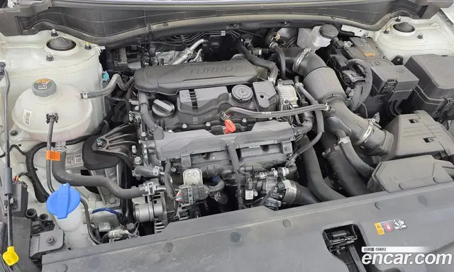Kia Sportage 2025 1.6 автомат (гидро), миниатюра 6 Kia Sportage 2025 1.6 автомат (гидро), миниатюра 6