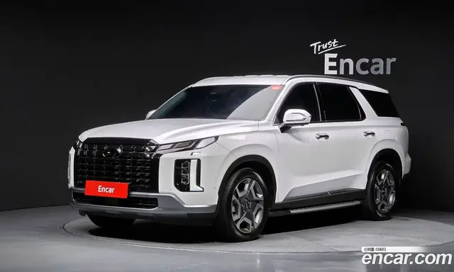 Hyundai Palisade, 2024, 31 563 км