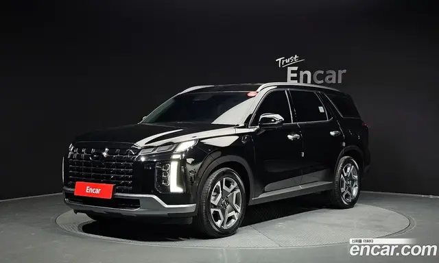Hyundai Palisade, 2024, 35 847 км