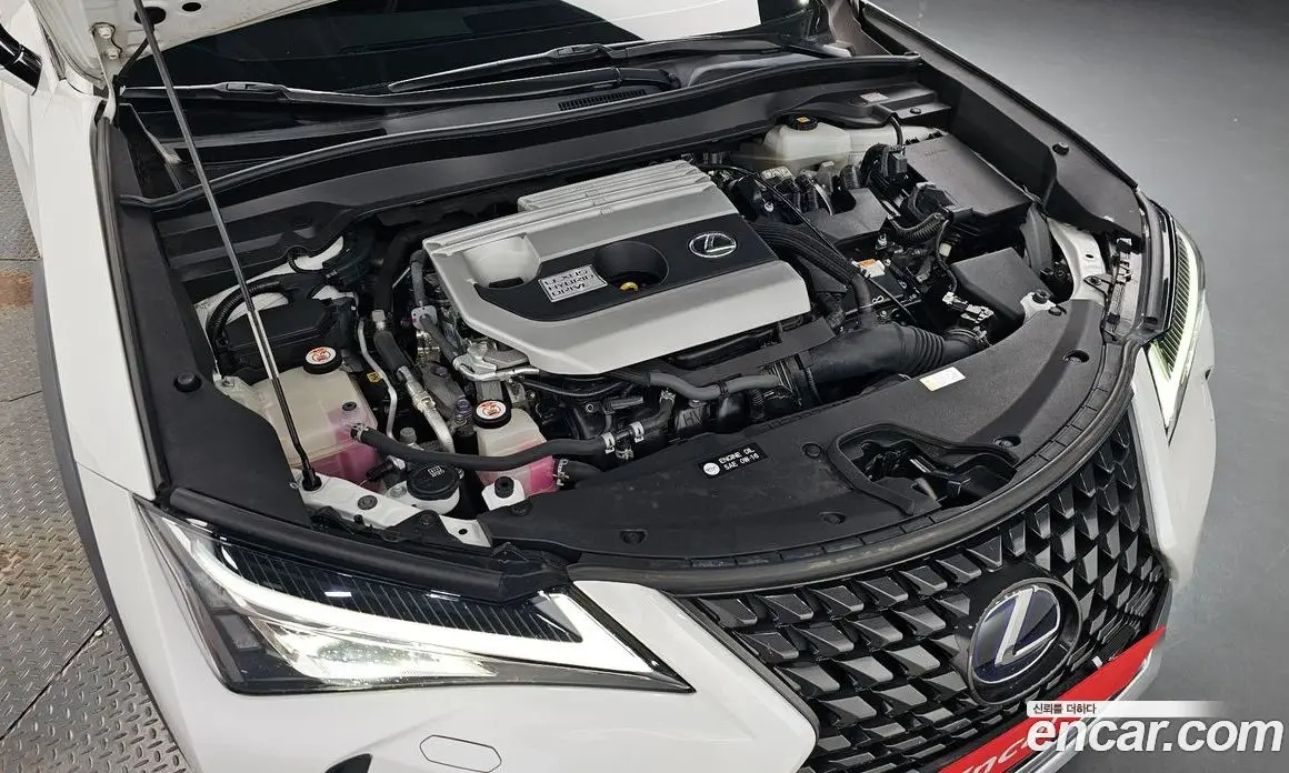 Lexus UX 2019 2.0 автомат (гидро), фото 5