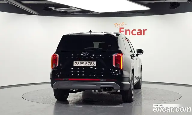 Hyundai Palisade 2022 3.8 автомат (гидро), миниатюра 4