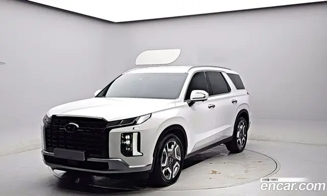 Hyundai Palisade, 2023, 19 682 км