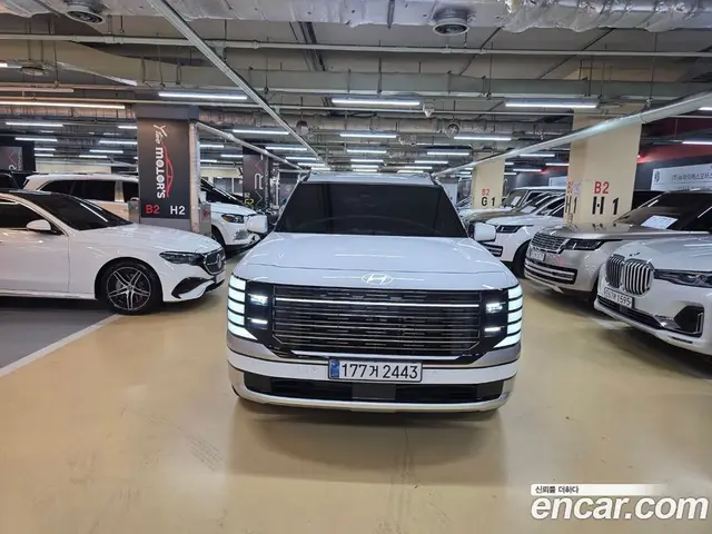 Hyundai Palisade, 2025, 8 750 км