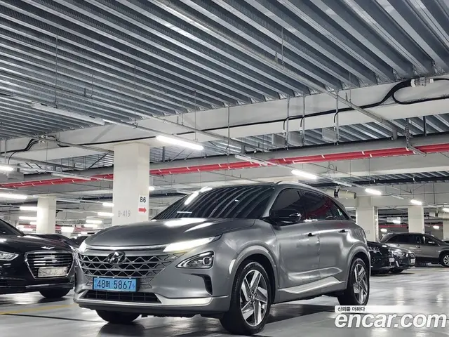Hyundai Nexo, 2019, 73 709 км