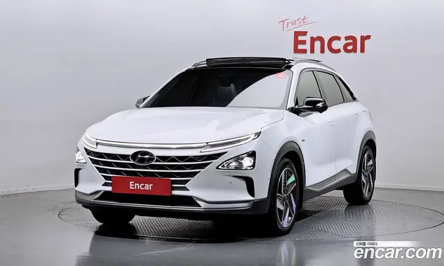 Hyundai Nexo, 2020, 153 036 км