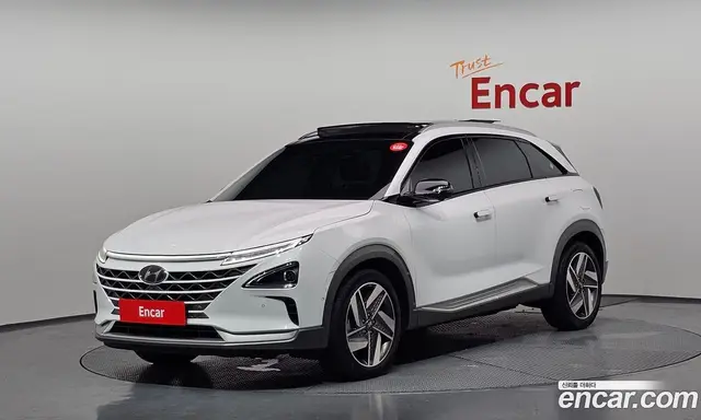 Hyundai Nexo, 2021, 79 779 км