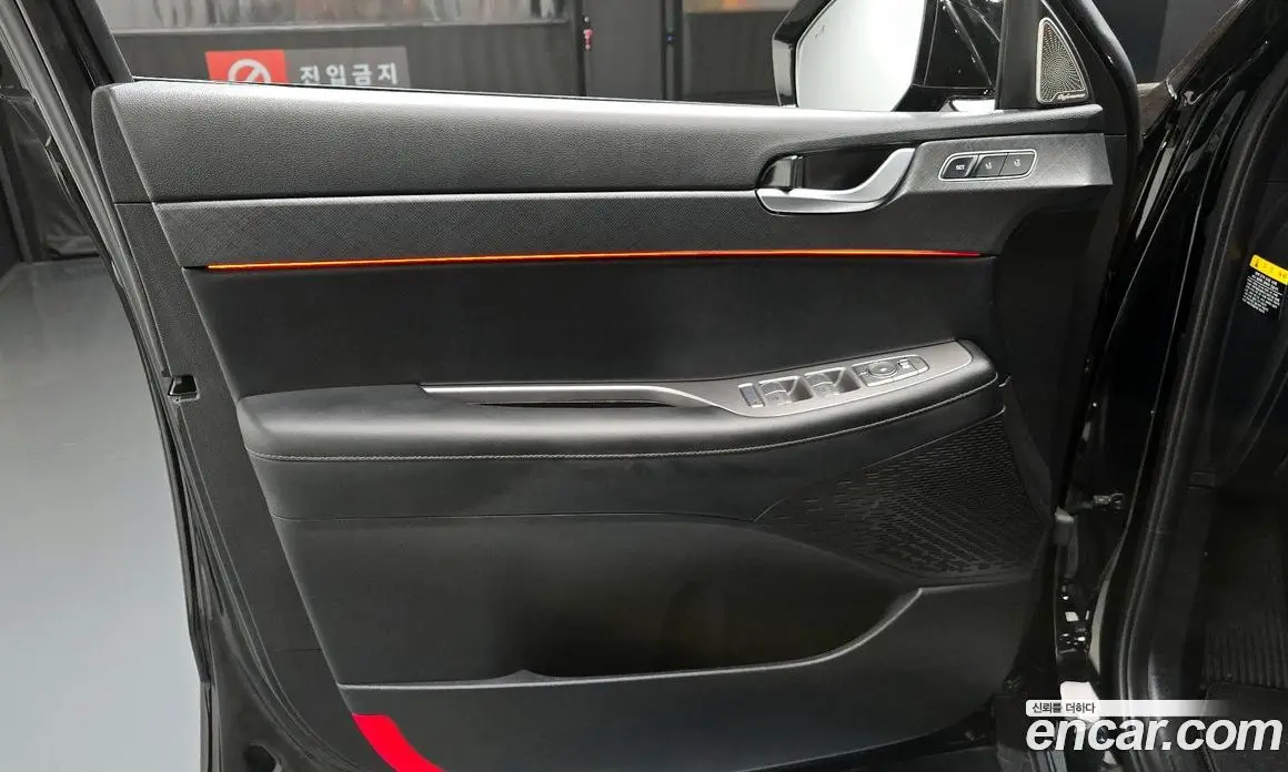 Hyundai Palisade 2019 3.8 автомат (гидро), фото 14
