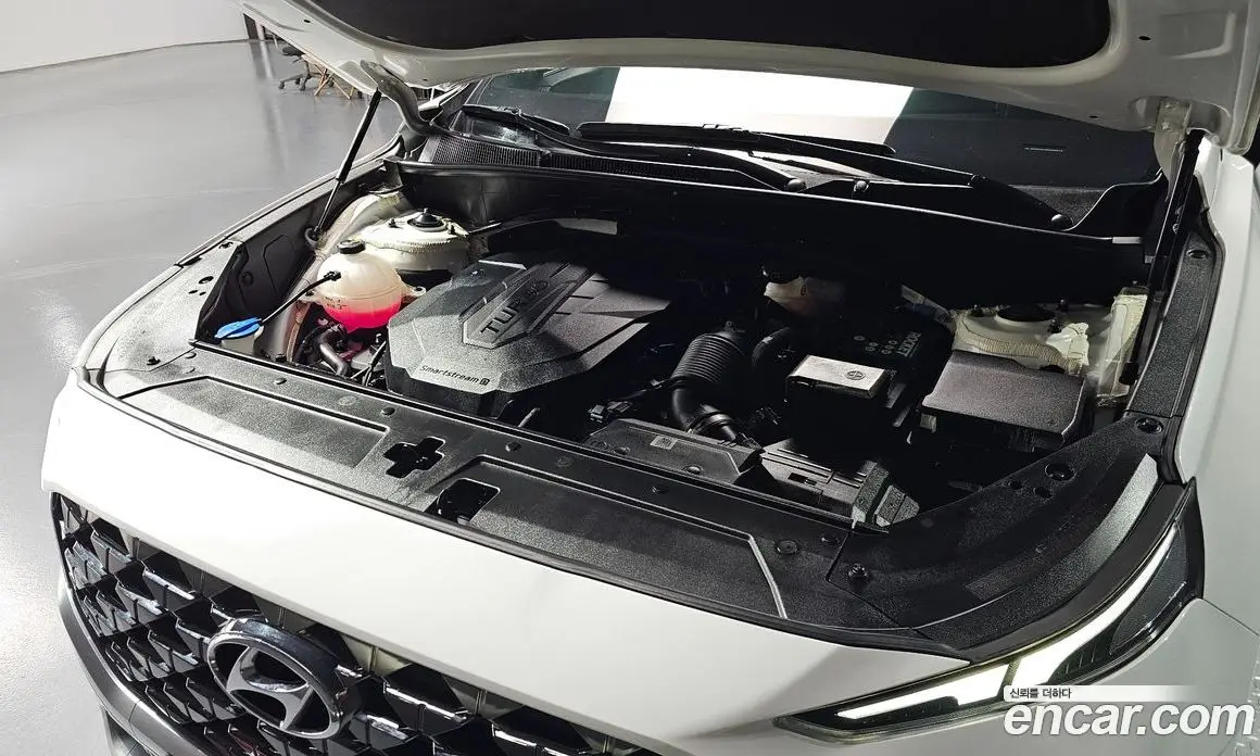 Hyundai Santa Fe 2020 2.2 автомат (гидро), фото 6