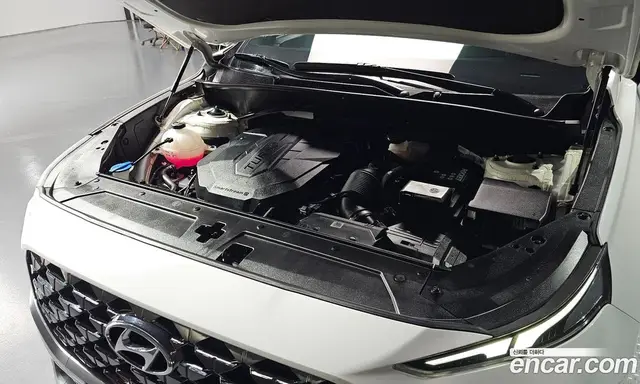Hyundai Santa Fe 2020 2.2 автомат (гидро), миниатюра 6