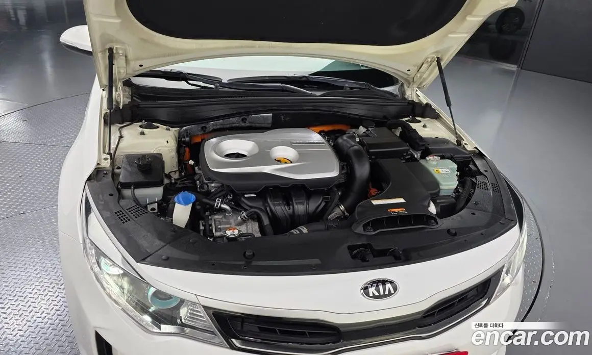 Kia K5 (Optima) 2016 2.0 автомат (гидро), фото 6 Kia K5 (Optima) 2016 2.0 автомат (гидро), фото 6