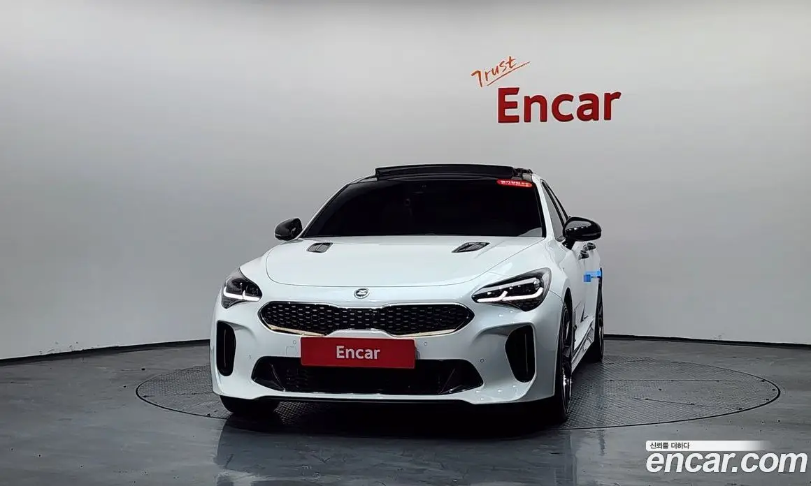 Kia Stinger 2019 2.0 автомат (гидро), фото 2 Kia Stinger 2019 2.0 автомат (гидро), фото 2