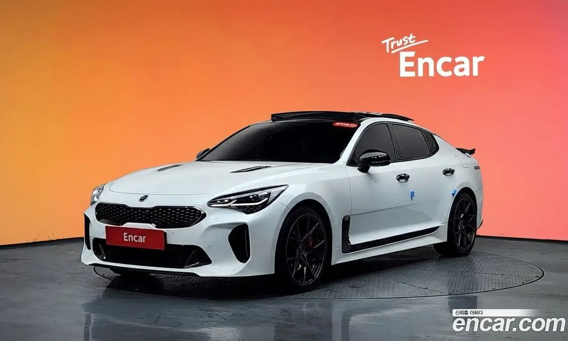 Kia Stinger 2019 2.0 автомат (гидро), фото 20 Kia Stinger 2019 2.0 автомат (гидро), фото 20