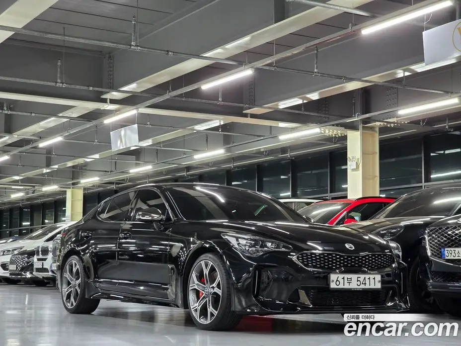 Kia Stinger 2017 2.0 автомат (гидро), фото 5 Kia Stinger 2017 2.0 автомат (гидро), фото 5