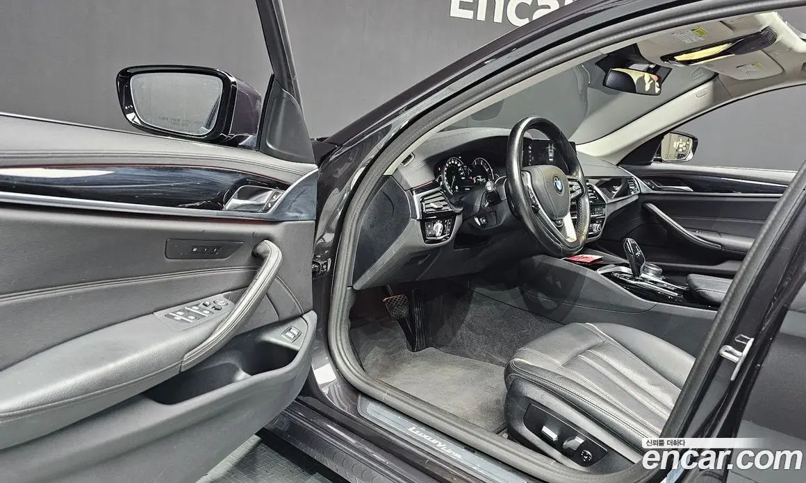 BMW 5 серия 2018 2.0 автомат (гидро), фото 10 BMW 5 серия 2018 2.0 автомат (гидро), фото 10
