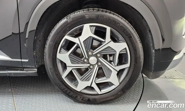 Hyundai Palisade 2020 3.8 автомат (гидро), миниатюра 7