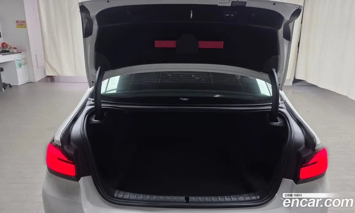 BMW 5 серия 2020 2.0 автомат (гидро), фото 20
