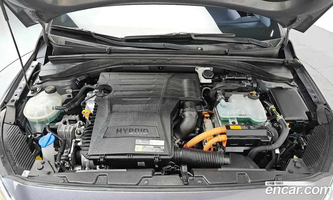 Hyundai Ioniq 2016 1.6 автомат (гидро), фото 6 Hyundai Ioniq 2016 1.6 автомат (гидро), фото 6