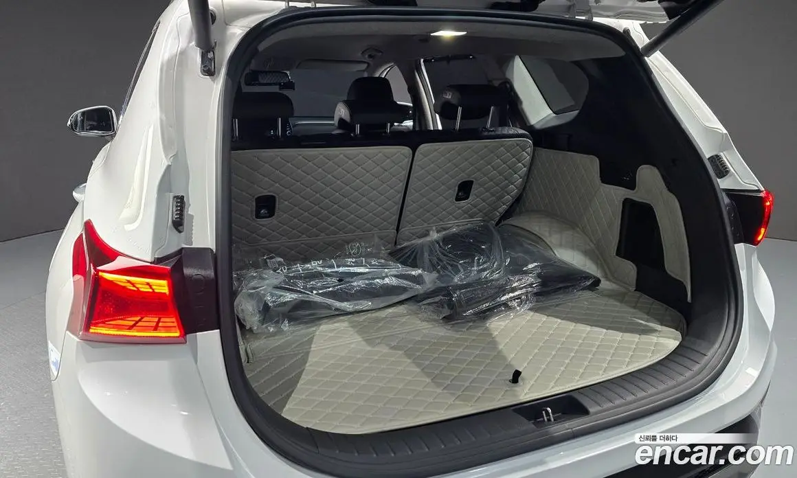 Hyundai Santa Fe 2019 2.0 автомат (гидро), фото 20 Hyundai Santa Fe 2019 2.0 автомат (гидро), фото 20