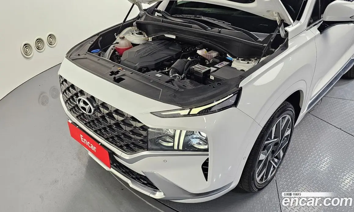 Hyundai Santa Fe 2021 2.2 автомат (гидро), фото 6 Hyundai Santa Fe 2021 2.2 автомат (гидро), фото 6