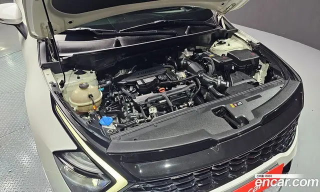Kia Sportage 2021 1.6 автомат (гидро), миниатюра 6