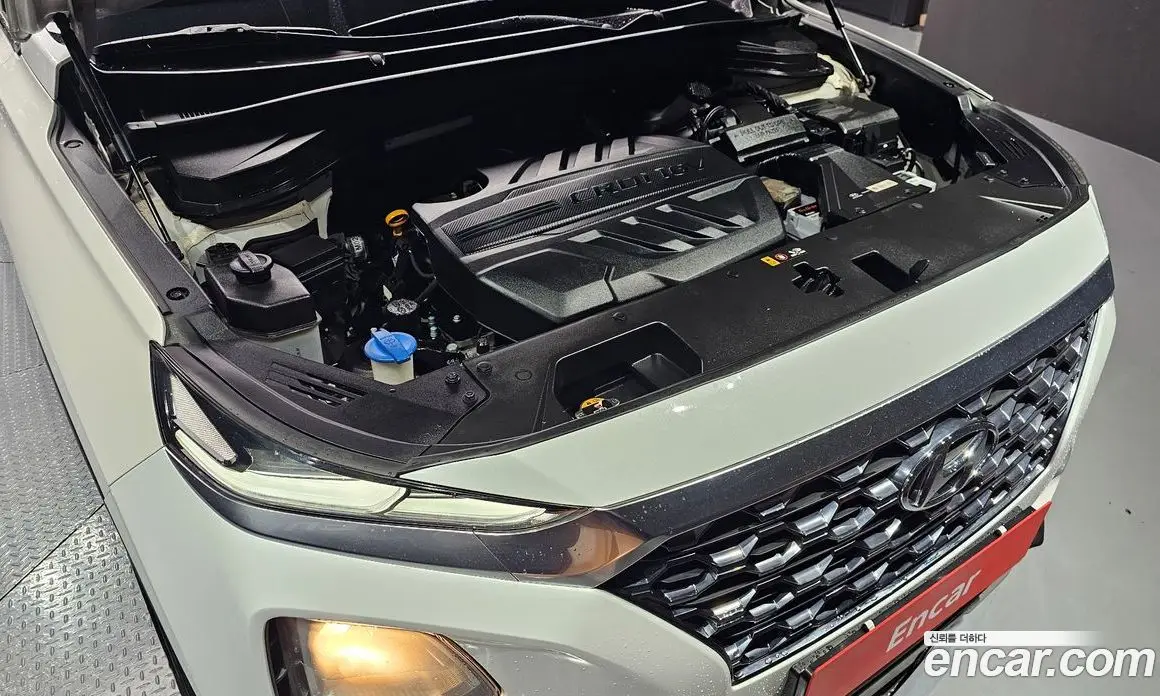 Hyundai Santa Fe 2019 2.0 автомат (гидро), фото 6