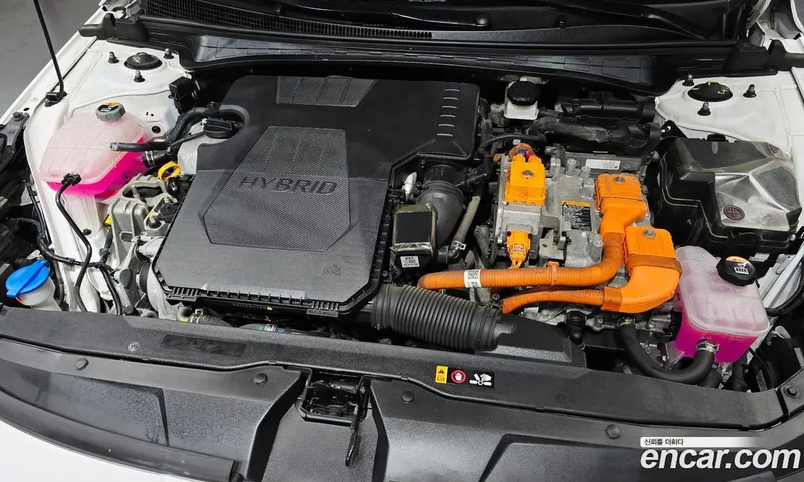 Hyundai Avante 2023 1.6 автомат (гидро), фото 6 Hyundai Avante 2023 1.6 автомат (гидро), фото 6