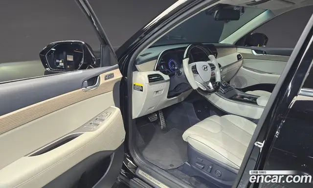 Hyundai Palisade 2020 3.8 автомат (гидро), миниатюра 11