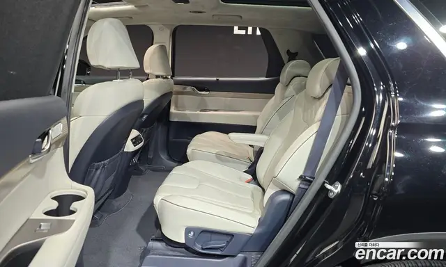 Hyundai Palisade 2020 3.8 автомат (гидро), миниатюра 12