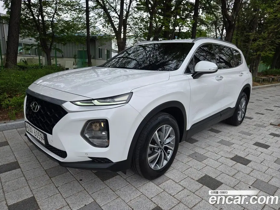 Hyundai Santa Fe 2019 2.0 автомат (гидро), фото 18 Hyundai Santa Fe 2019 2.0 автомат (гидро), фото 18