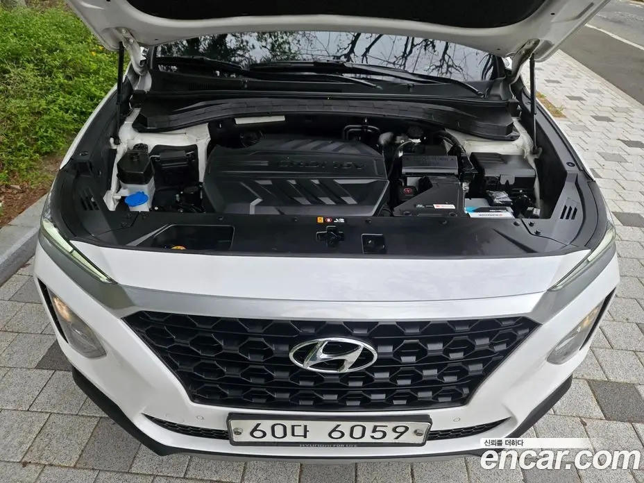 Hyundai Santa Fe 2019 2.0 автомат (гидро), фото 19 Hyundai Santa Fe 2019 2.0 автомат (гидро), фото 19