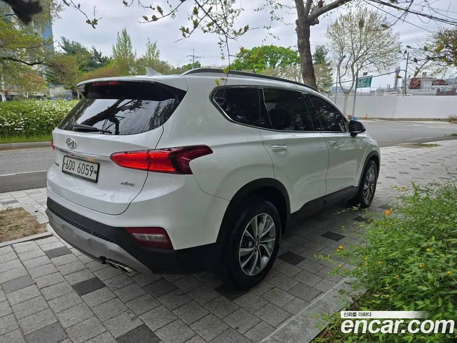 Hyundai Santa Fe 2019 2.0 автомат (гидро), фото 20 Hyundai Santa Fe 2019 2.0 автомат (гидро), фото 20