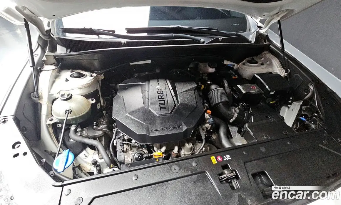 Hyundai Santa Fe 2020 2.2 автомат (гидро), фото 6 Hyundai Santa Fe 2020 2.2 автомат (гидро), фото 6