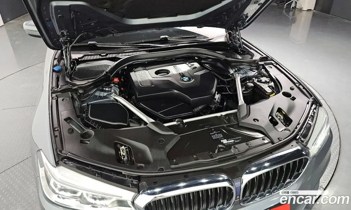 BMW 5 серия 2018 2.0 автомат (гидро), фото 6