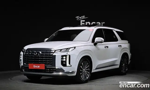Hyundai Palisade, 2023, 51 860 км