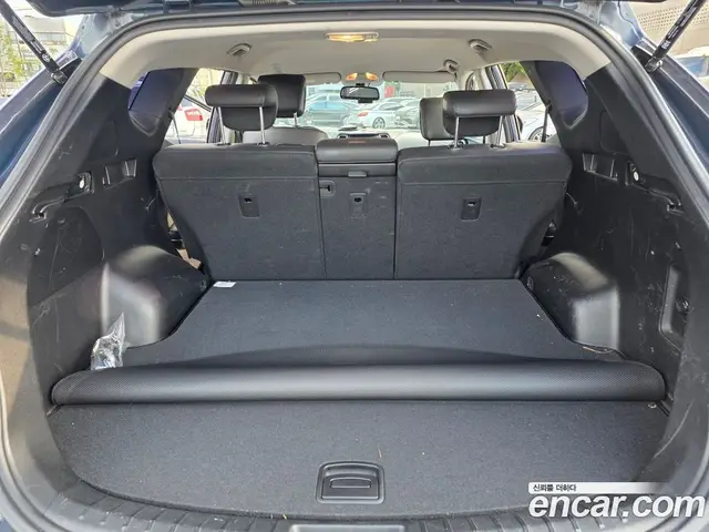 Hyundai Santa Fe 2016 2.0 автомат (гидро), миниатюра 12