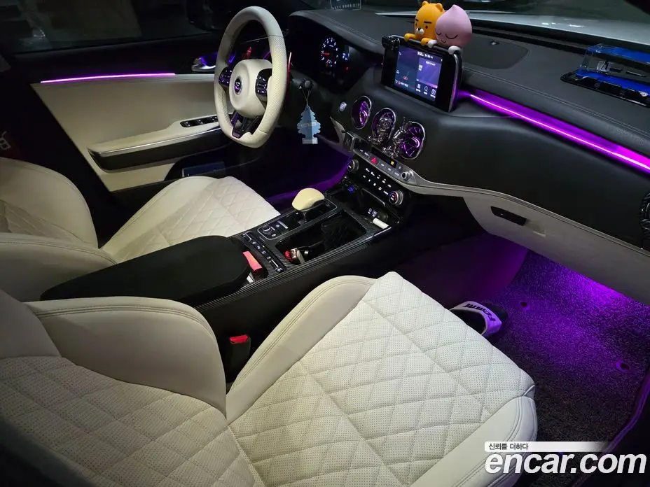 Kia Stinger 2017 2.0 автомат (гидро), фото 11 Kia Stinger 2017 2.0 автомат (гидро), фото 11