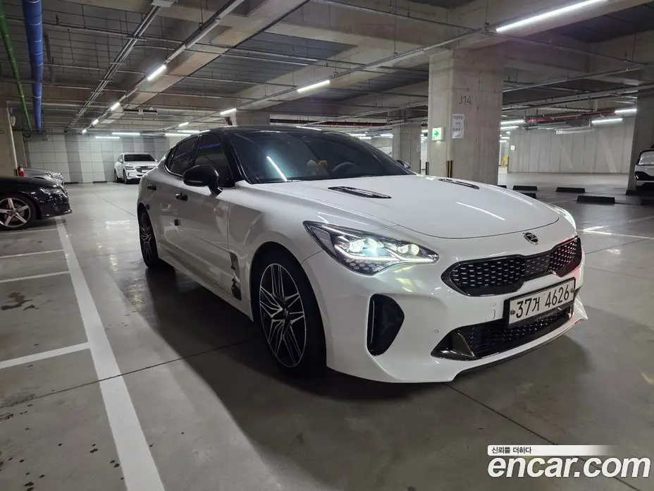Kia Stinger 2017 2.0 автомат (гидро), фото 3 Kia Stinger 2017 2.0 автомат (гидро), фото 3