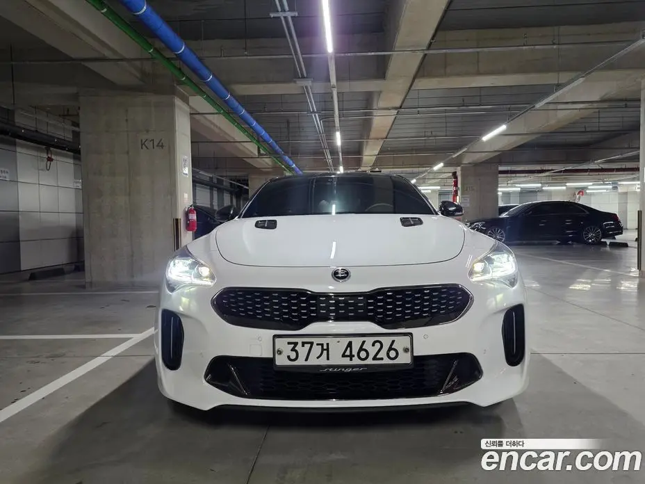 Kia Stinger 2017 2.0 автомат (гидро), фото 7 Kia Stinger 2017 2.0 автомат (гидро), фото 7