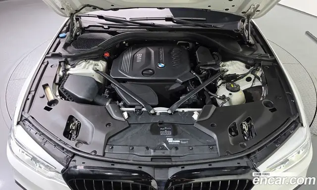 BMW 5 серия 2017 2.0 автомат (гидро), миниатюра 6