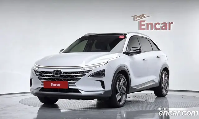 Hyundai Nexo, 2022, 53 404 км